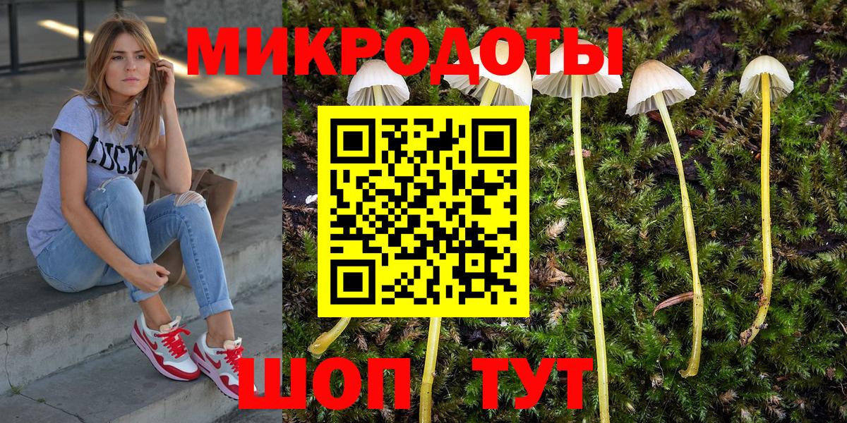 Псилоцибиновые грибы Psilocybe Первоуральск
